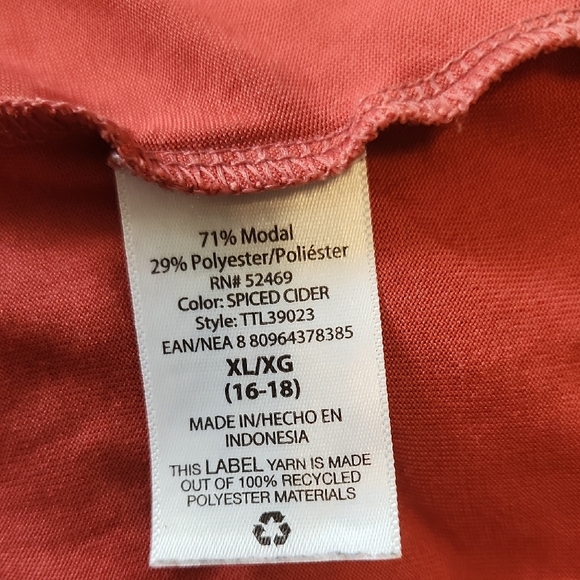 Time and Tru Rust V-Neck Tee - Picture 8 of 9